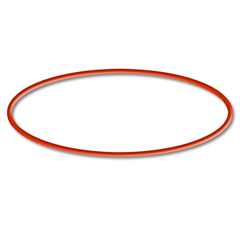 SunSun HW-702B 703B 704B o-ring filtro esterno quarzo