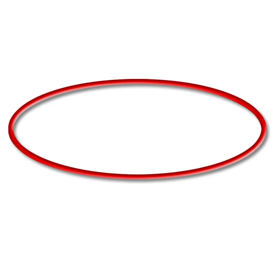 SunSun CUV 300/600 O-ring guarnizione ricambio UVC