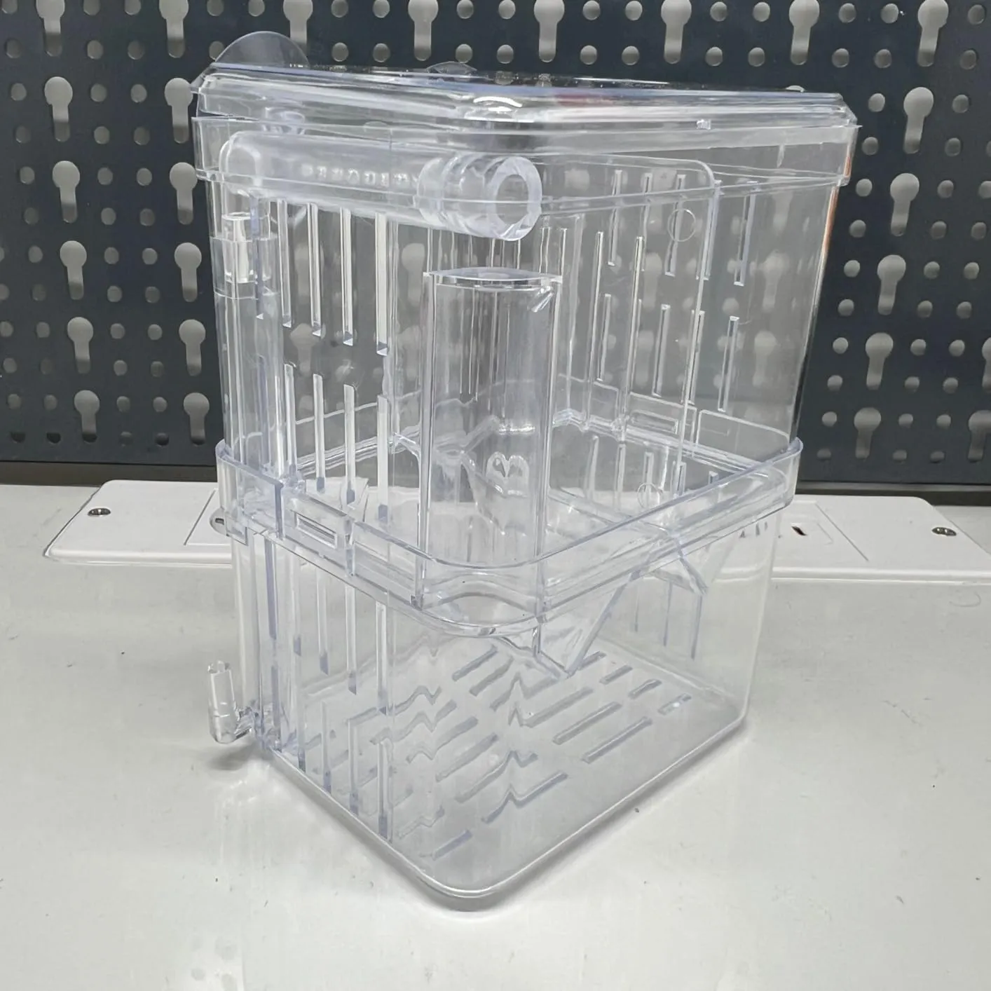 Pawfly Box Allevamento Acquario S 10x8x13 cm Trasparente