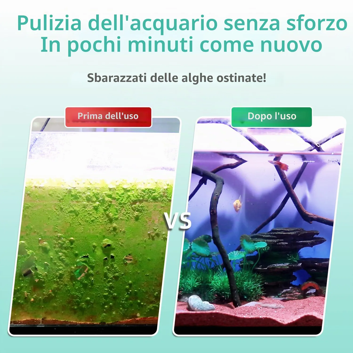 boxtech Raschietto Alghe 50 cm con 5 Lame Acciaio