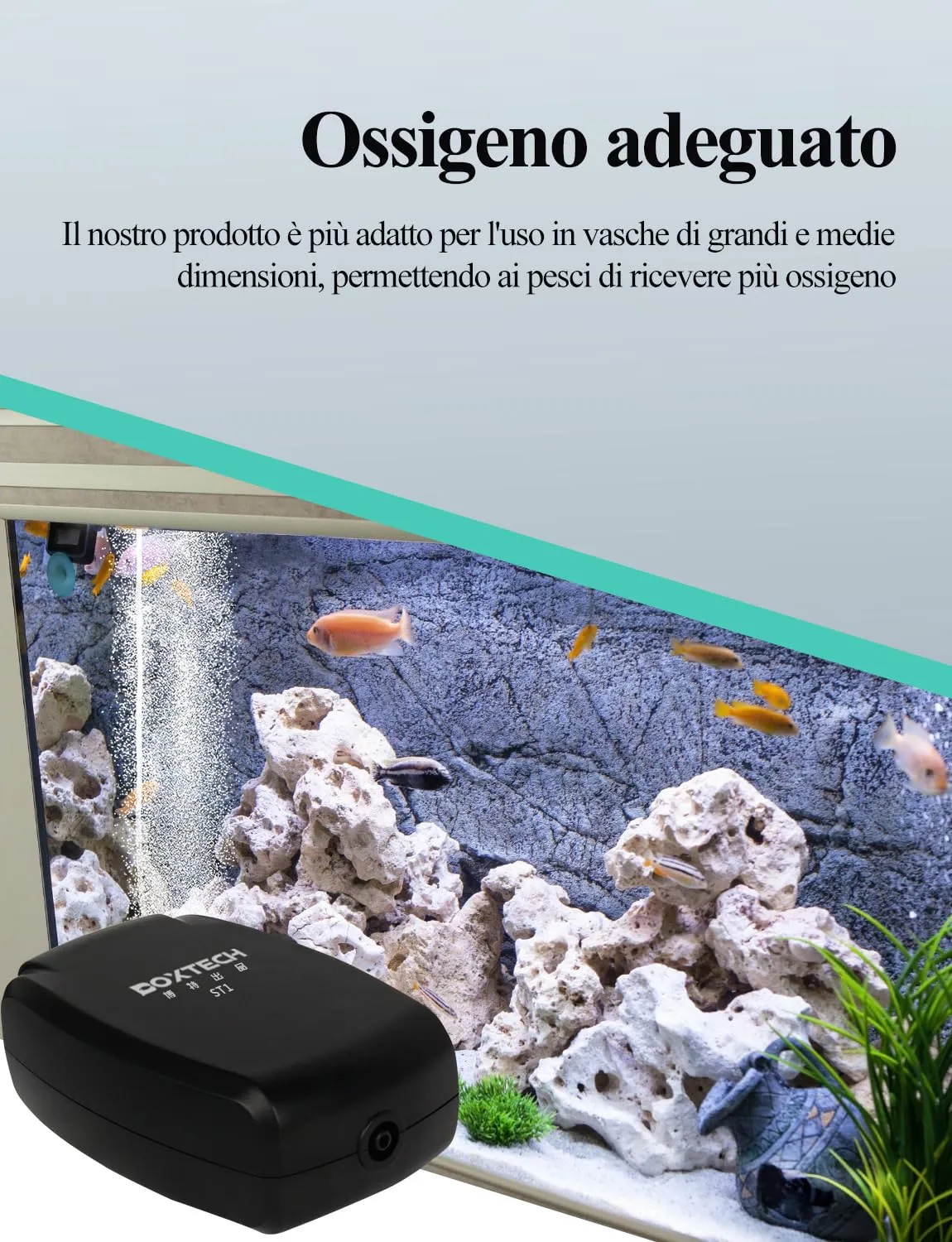 Boxtech aeratore acquario mini 2W 1 l/min con pietra e tubo