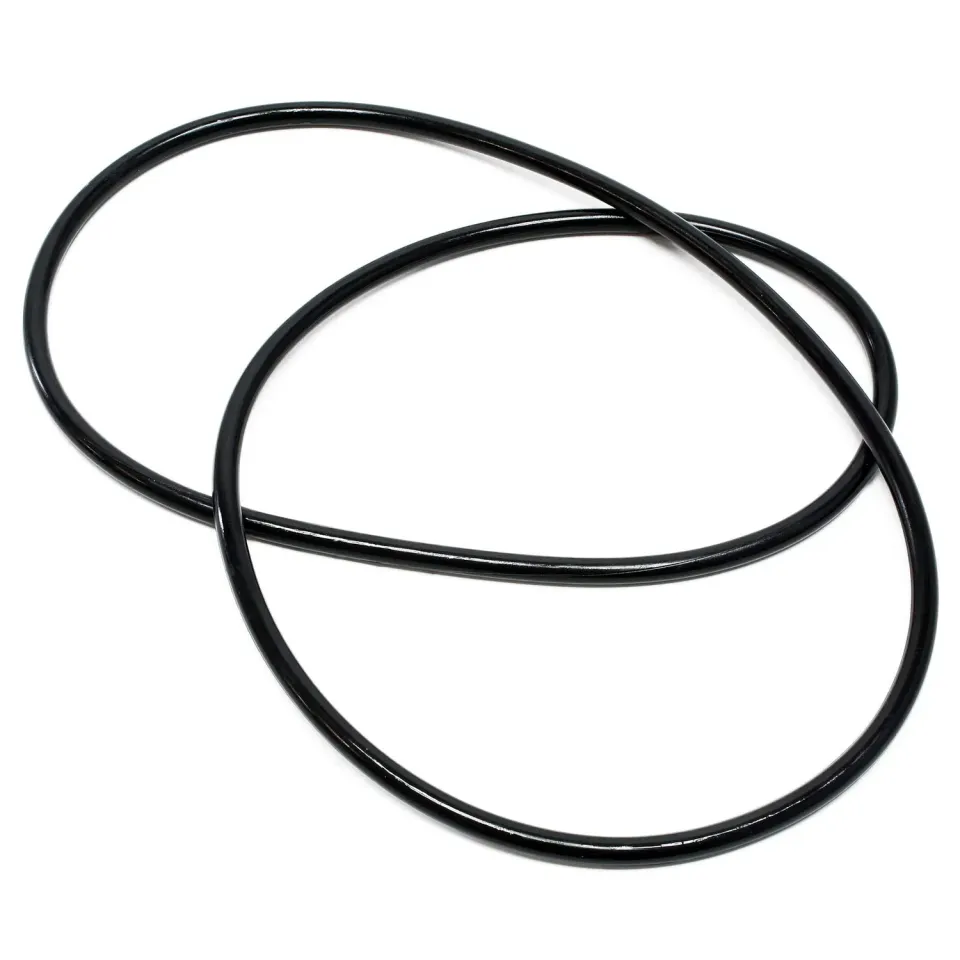 SunSun CPF-20000 CPF-50000 guarnizione O-Ring 421x7,5mm ricambio