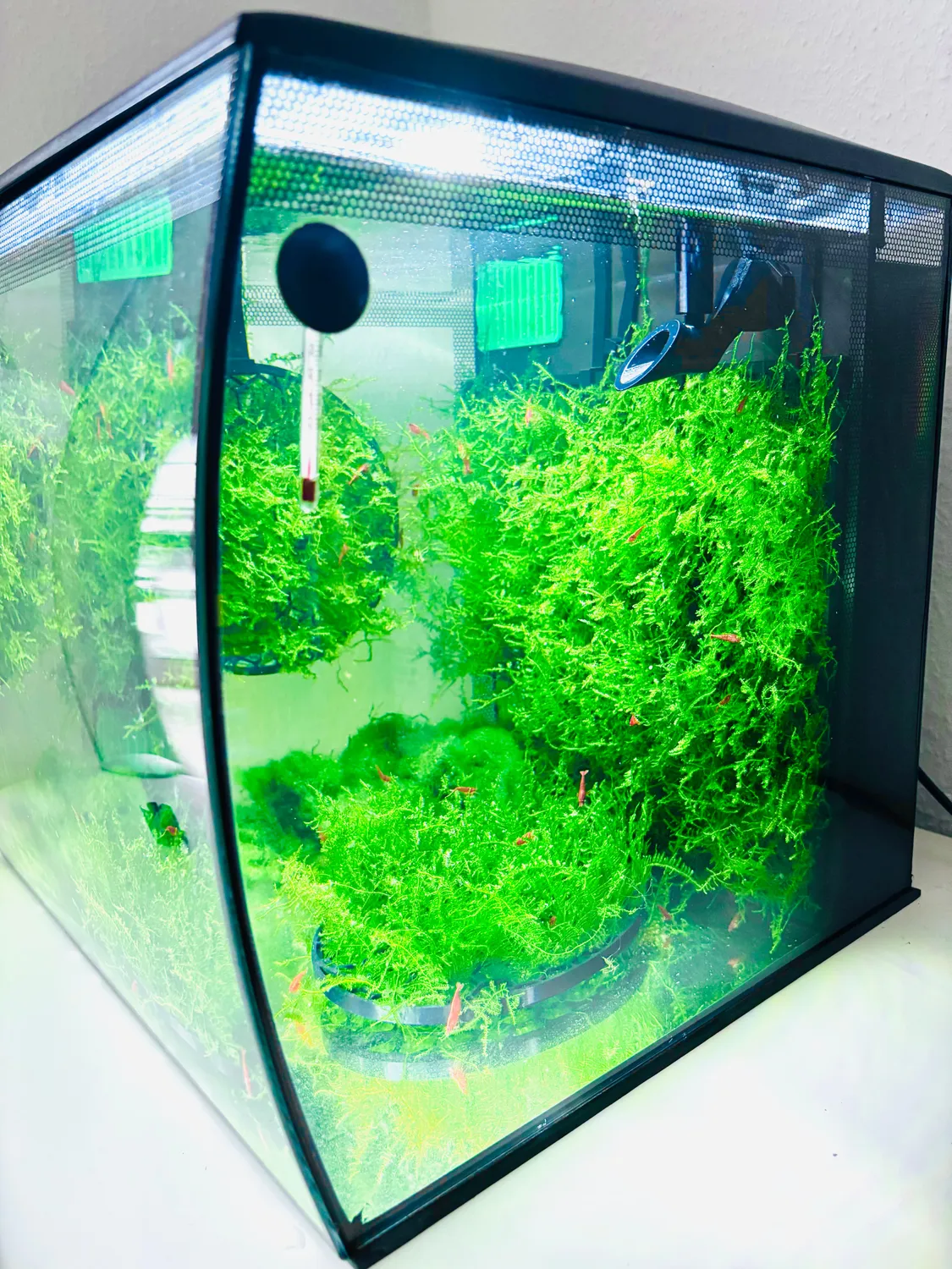 Moby Lab Skimmer superficie per Fluval Flex 34L 57L