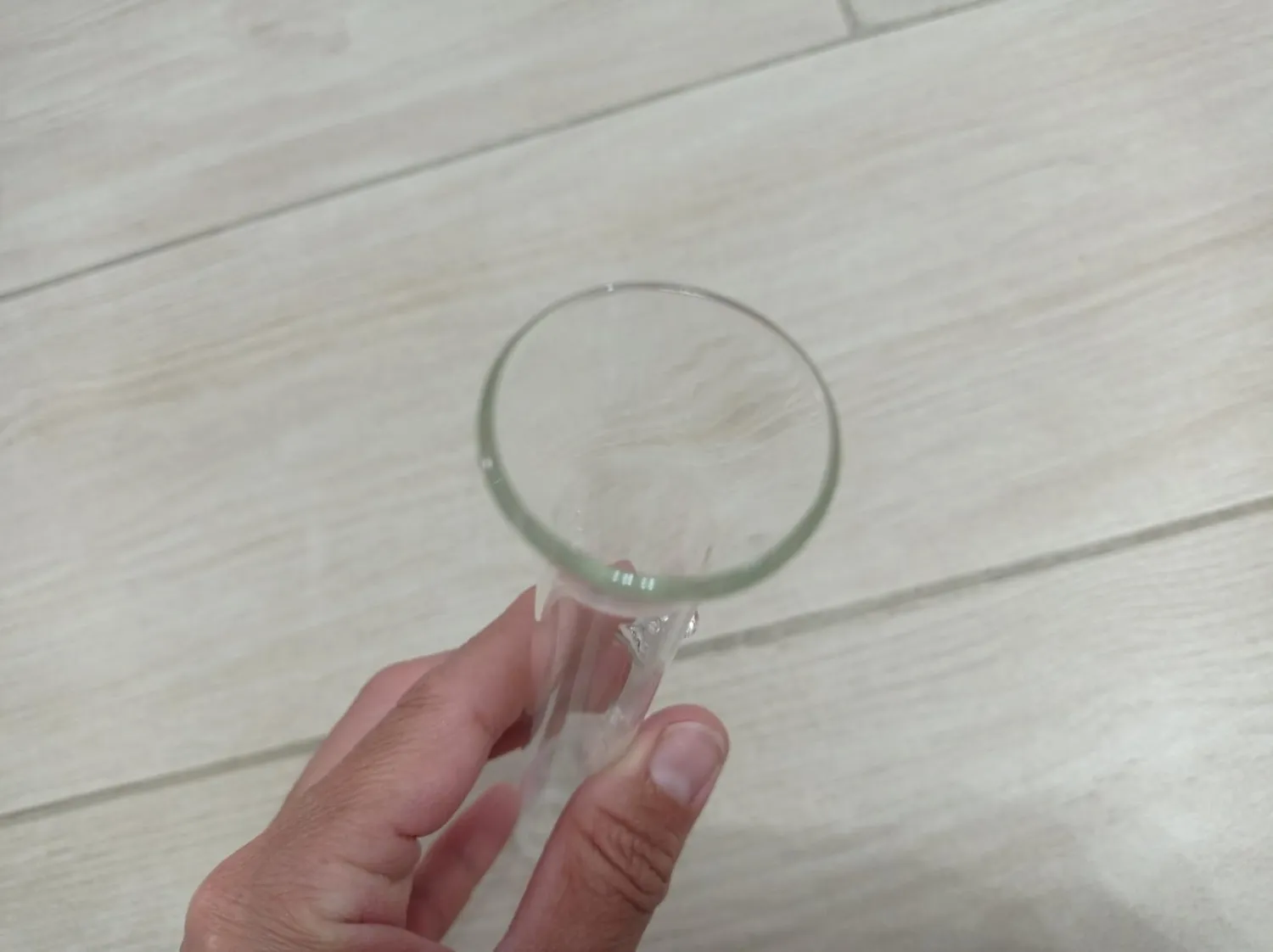 Pawfly tubo alimentazione pesci vetro 20 cm con ciotola