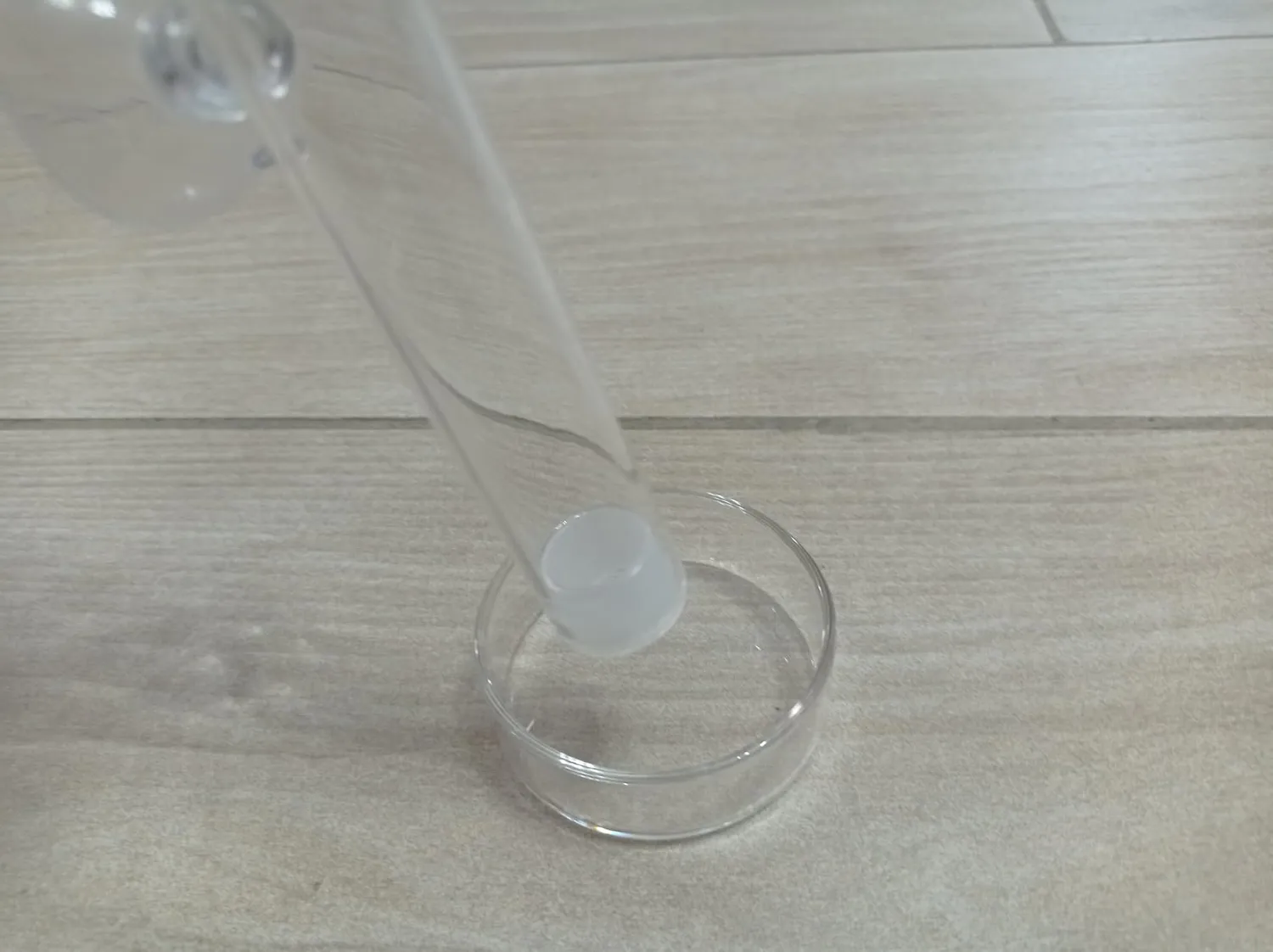 Pawfly tubo alimentazione pesci vetro 20 cm con ciotola