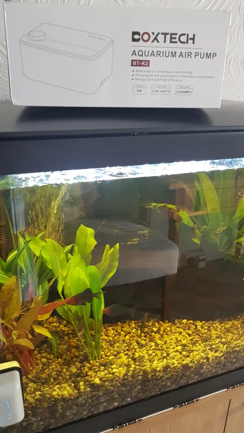Boxtech Pompa Aria Acquario 2 Uscite 5W Silenziosa