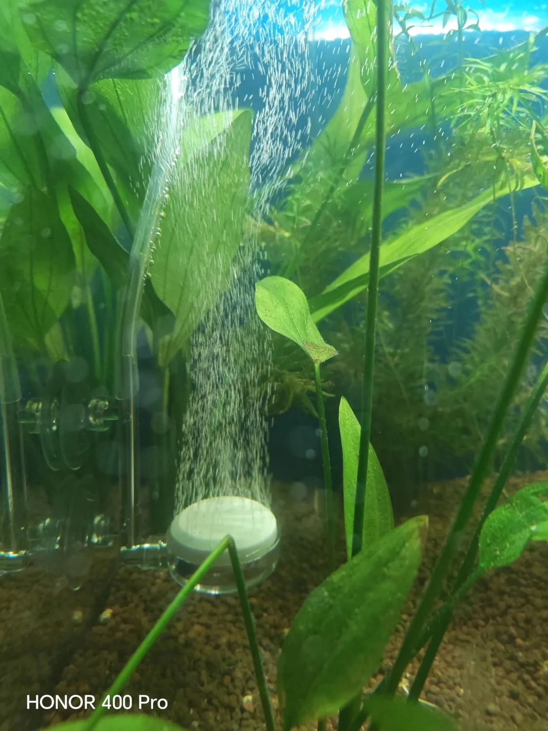 boxtech diffusore aria acquario 35 mm kit silenzioso
