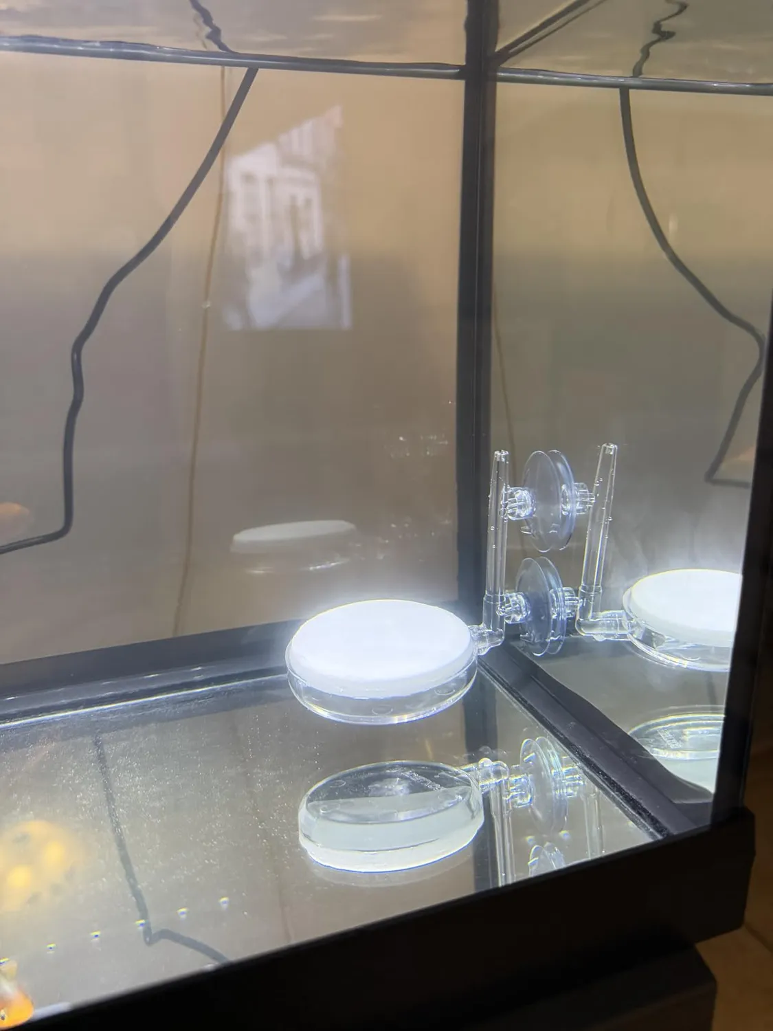 boxtech diffusore aria acquario 35 mm kit silenzioso