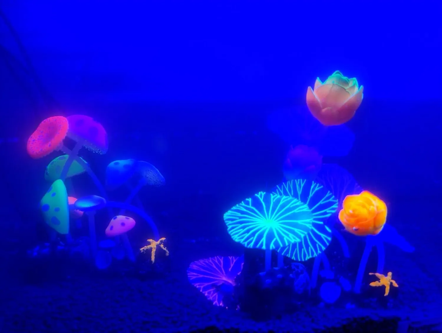 Pawfly fungo decorazione acquario silicone 11 cm fluorescente