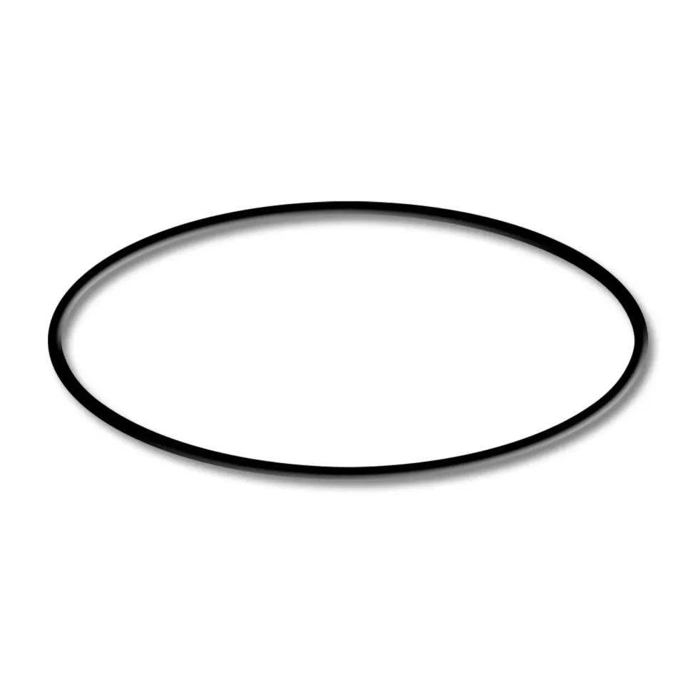 SunSun CPF-280/380/500 O-ring 1 ricambio filtro pressione
