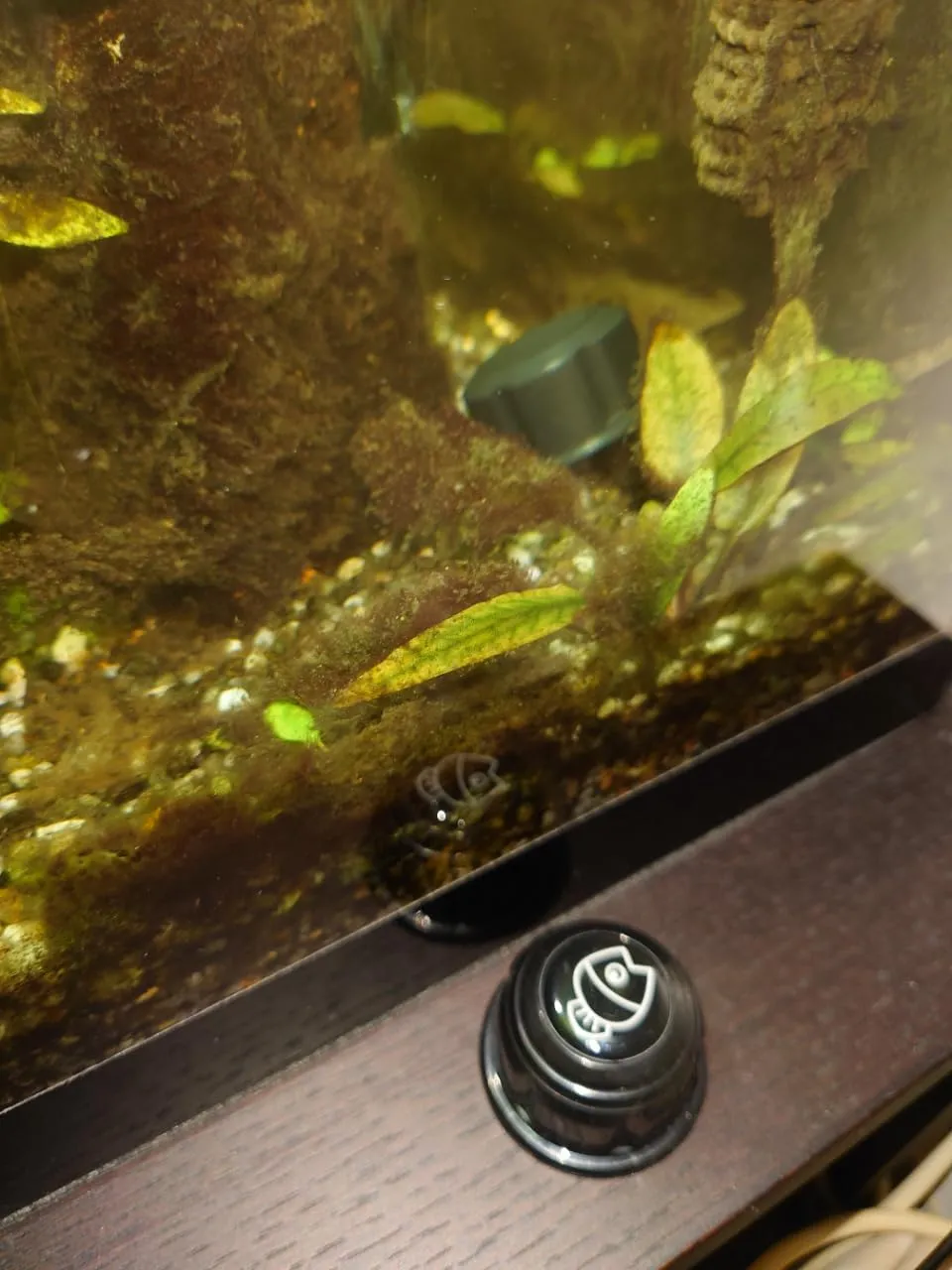 Pawfly Spazzola Magnetica Acquario 3,8 cm per Vetro Sottile