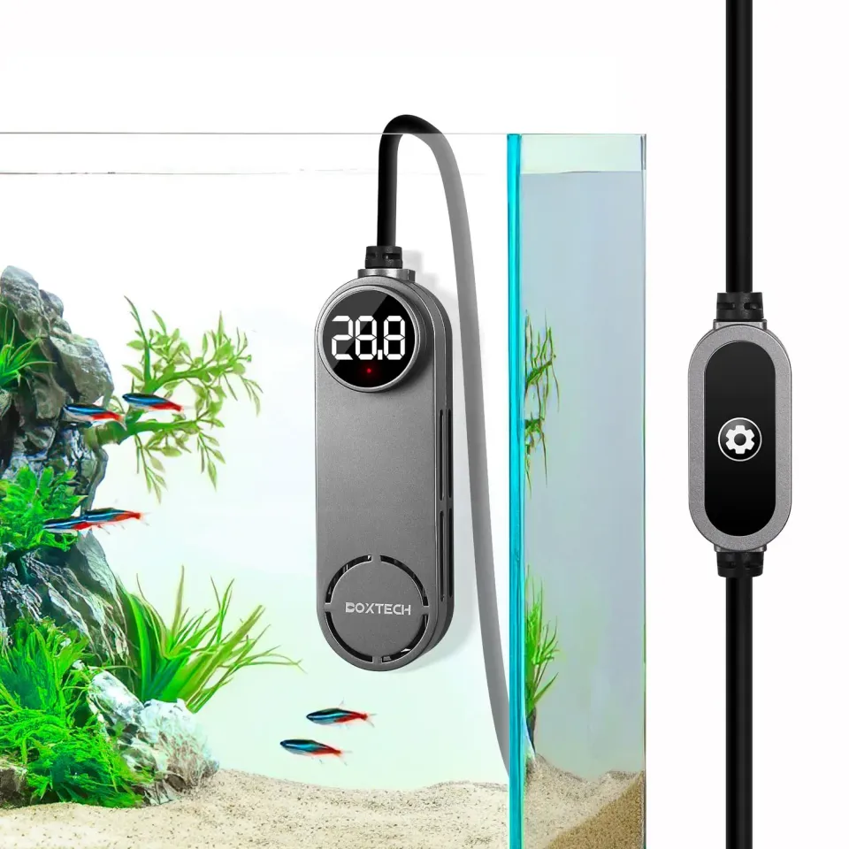 boxtech Riscaldatore Acquario 50W 10-40L Display