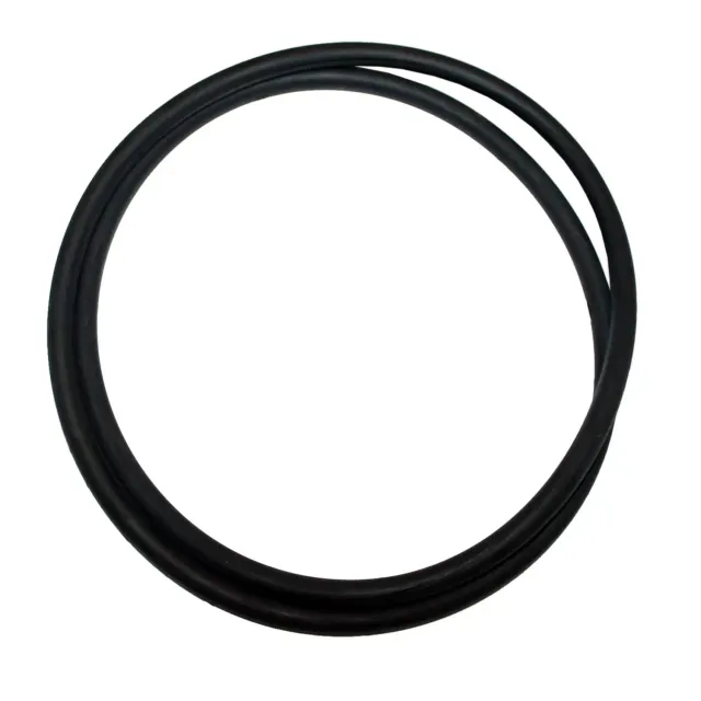 SunSun CPF-180 CPF-250 guarnizione coperchio O-ring ricambio