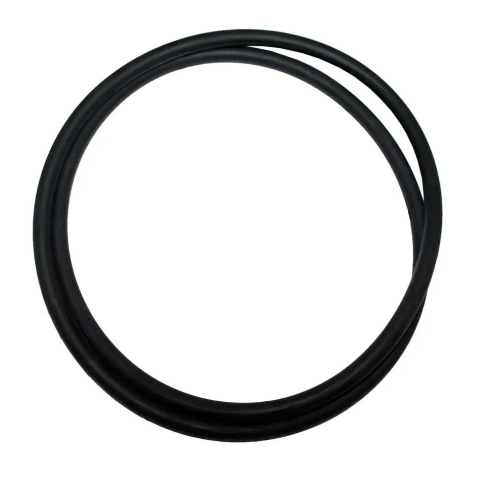 SunSun CPF-180 CPF-250 guarnizione coperchio O-ring ricambio
