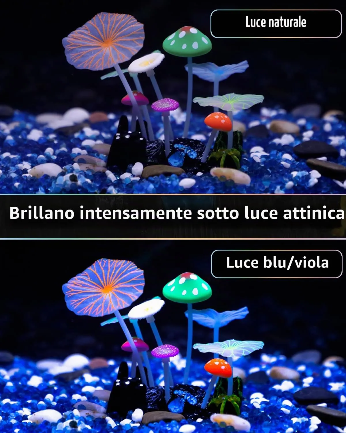 Pawfly fungo e loto decorazione acquario silicone fluorescente