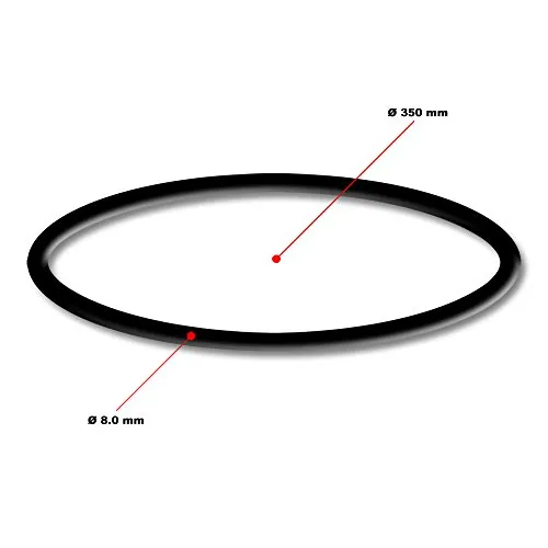 SunSun CPF-280/380/500 O-ring ricambio coperchio filtro