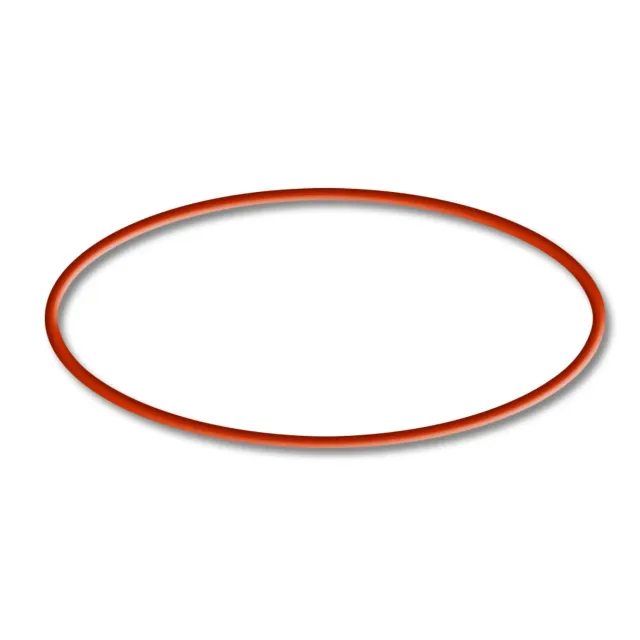 SunSun CBF-200T 200U o-ring 3 guarnizione ricambio