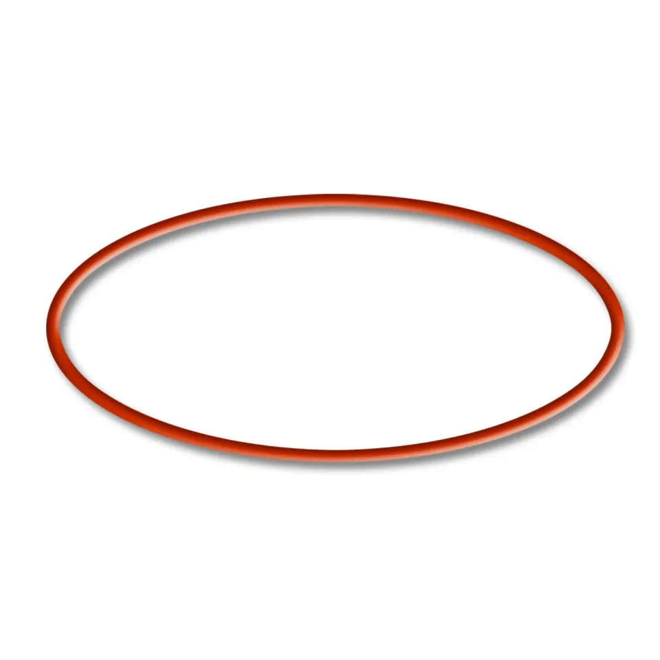 SunSun CBF-200T 200U o-ring 3 guarnizione ricambio