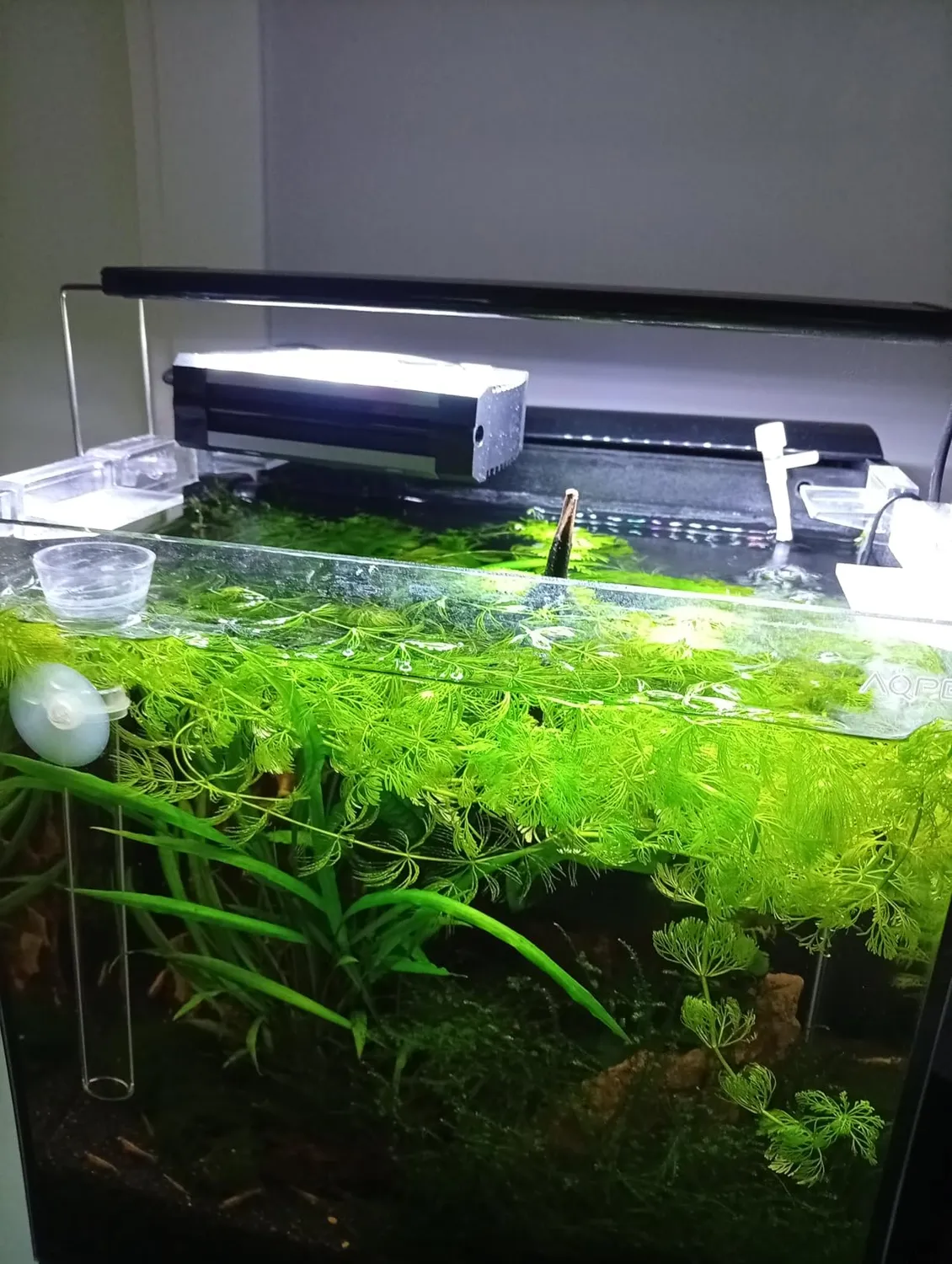 Pawfly Ventola Raffreddamento Acquario 1 Ventola Timer