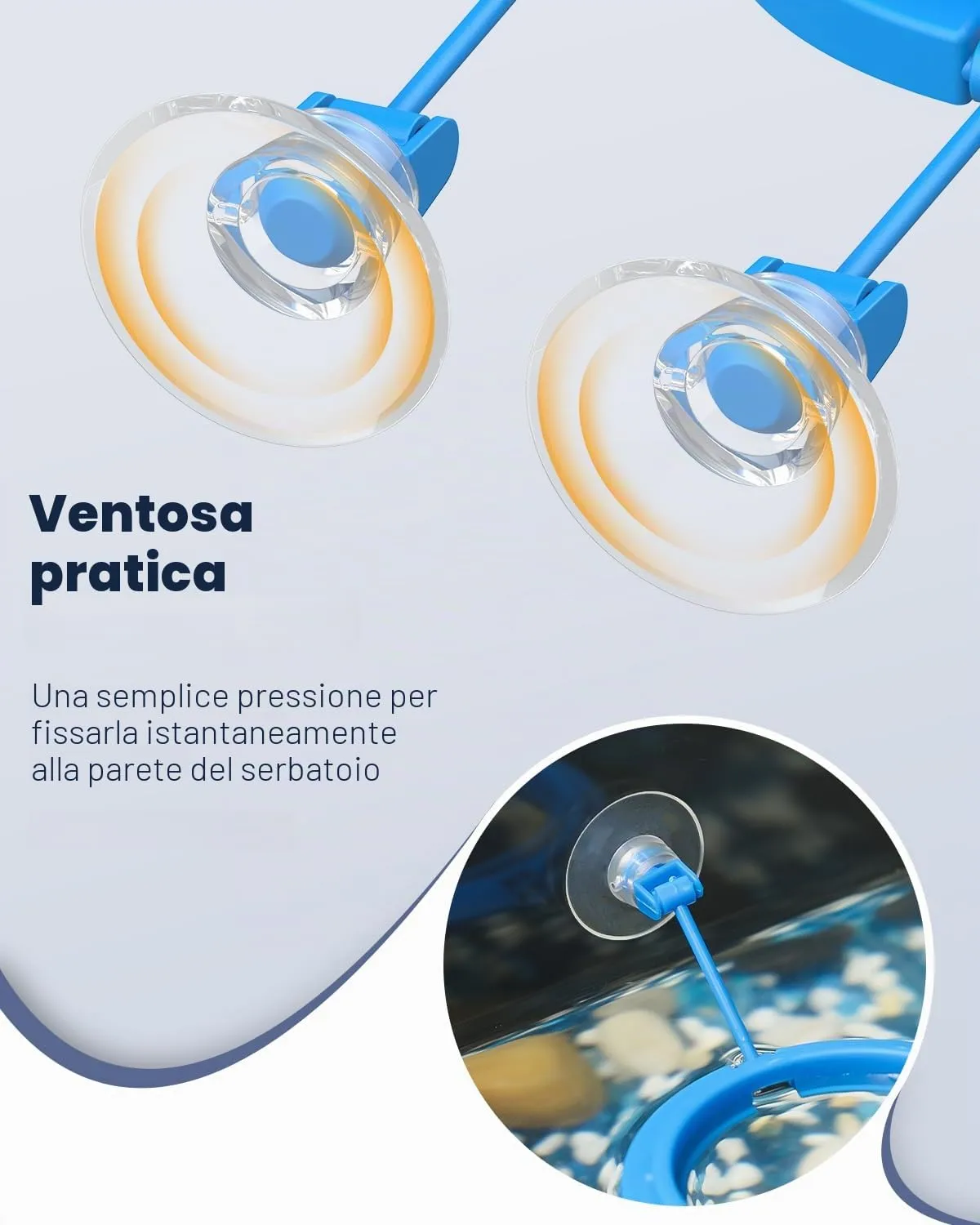 Pawfly Anello Alimentazione Pesci 2 Pezzi Rotondo Quadro
