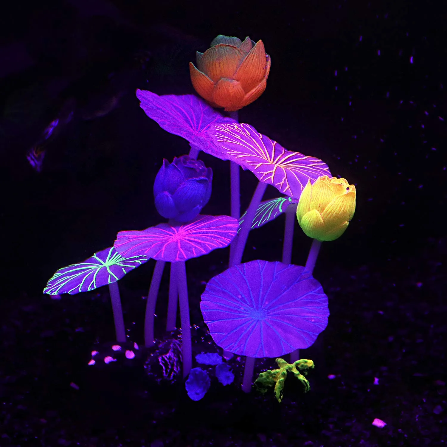 Pawfly loto decorazione acquario silicone 13,2 cm fluorescente