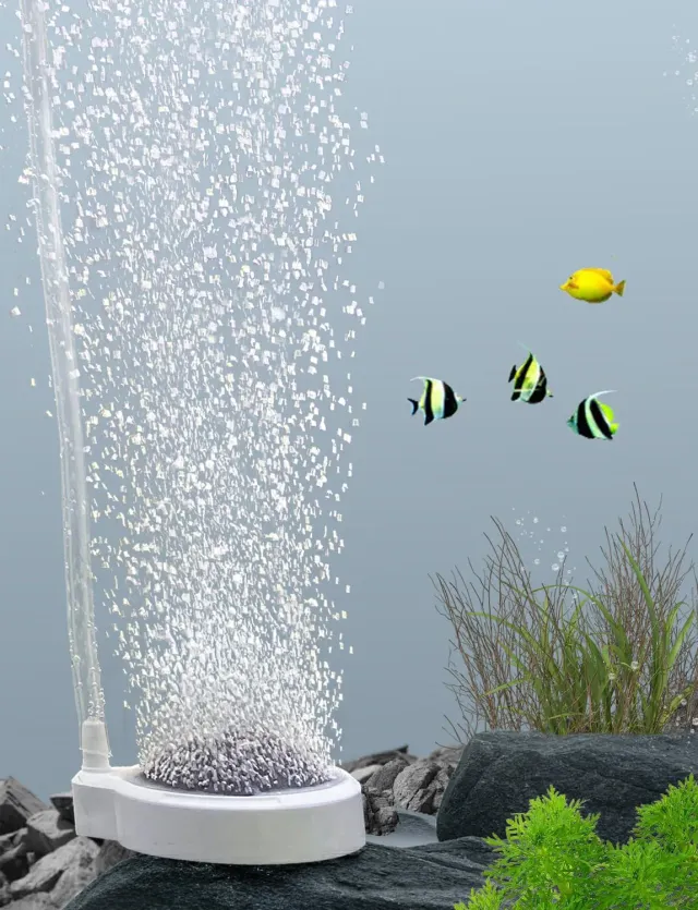 Boxtech Pietra Aria Acquario 50 mm Nano a Bolle Sottili