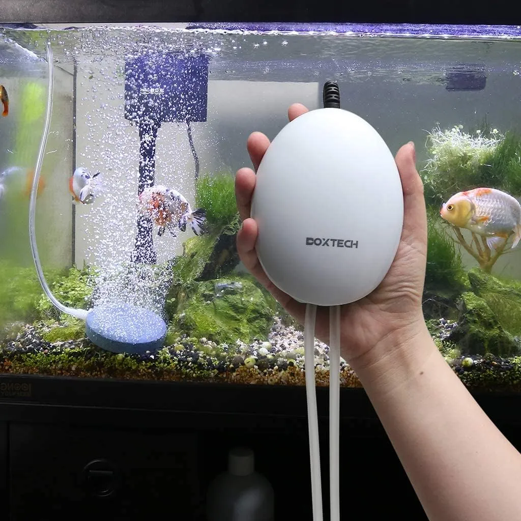boxtech Pompa Aria Acquario 2,5W Doppia Uscita Kit Completo