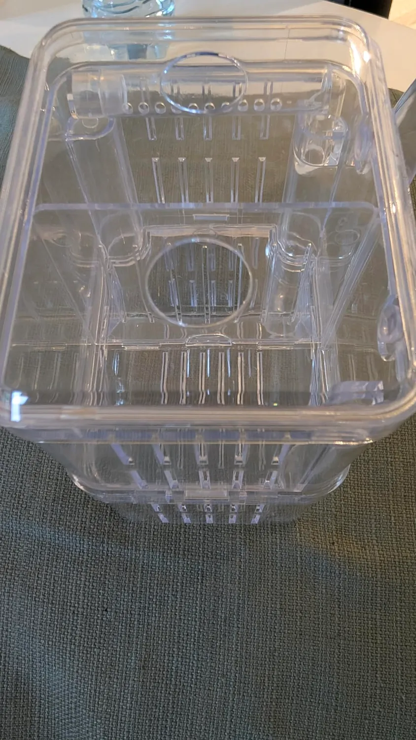 Pawfly Box Allevamento Acquario S 10x8x13 cm Trasparente