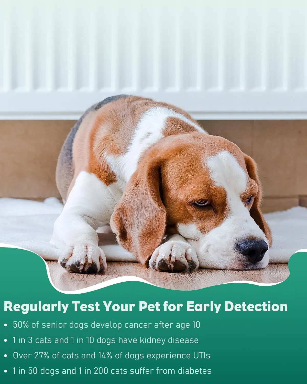 Pawfly Test Urine 4 in 1 100 Pezzi Cani e Gatti Diabete
