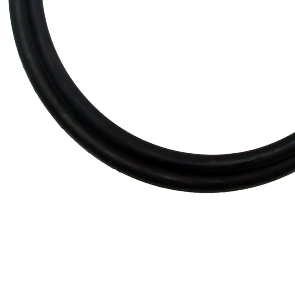 SunSun CPF-180 CPF-250 guarnizione coperchio O-ring ricambio