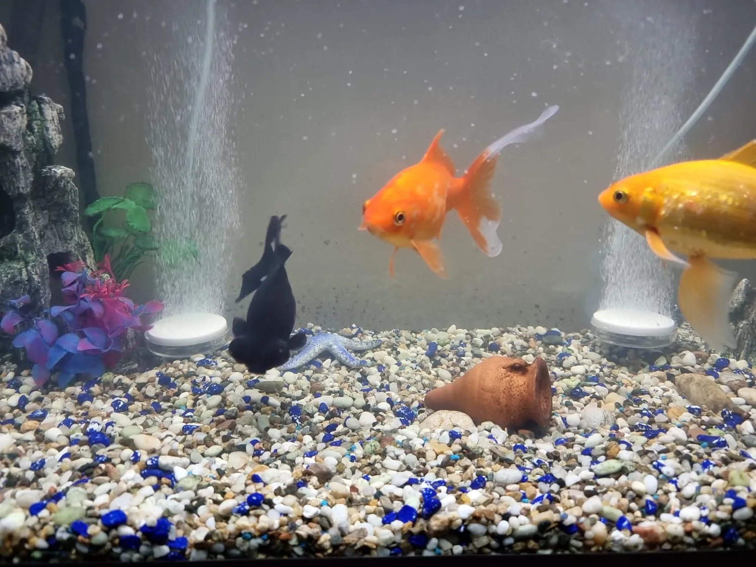 boxtech diffusore aria acquario 35 mm kit silenzioso