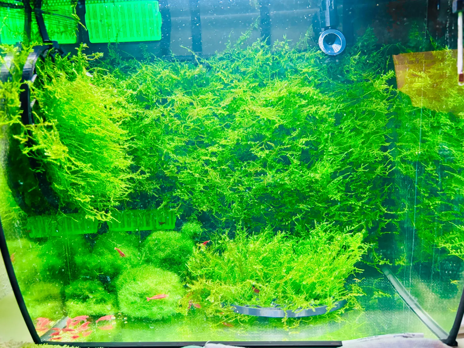Moby Lab Griglie Aspirazione Fluval Flex 34L Nere in PETG