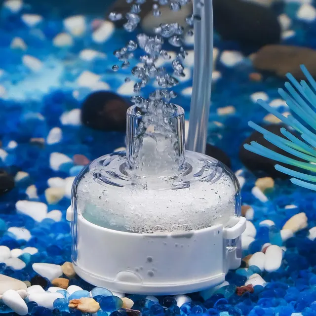 Pawfly Filtro a Spugna 5 cm OD per Acquari 20 L Betta