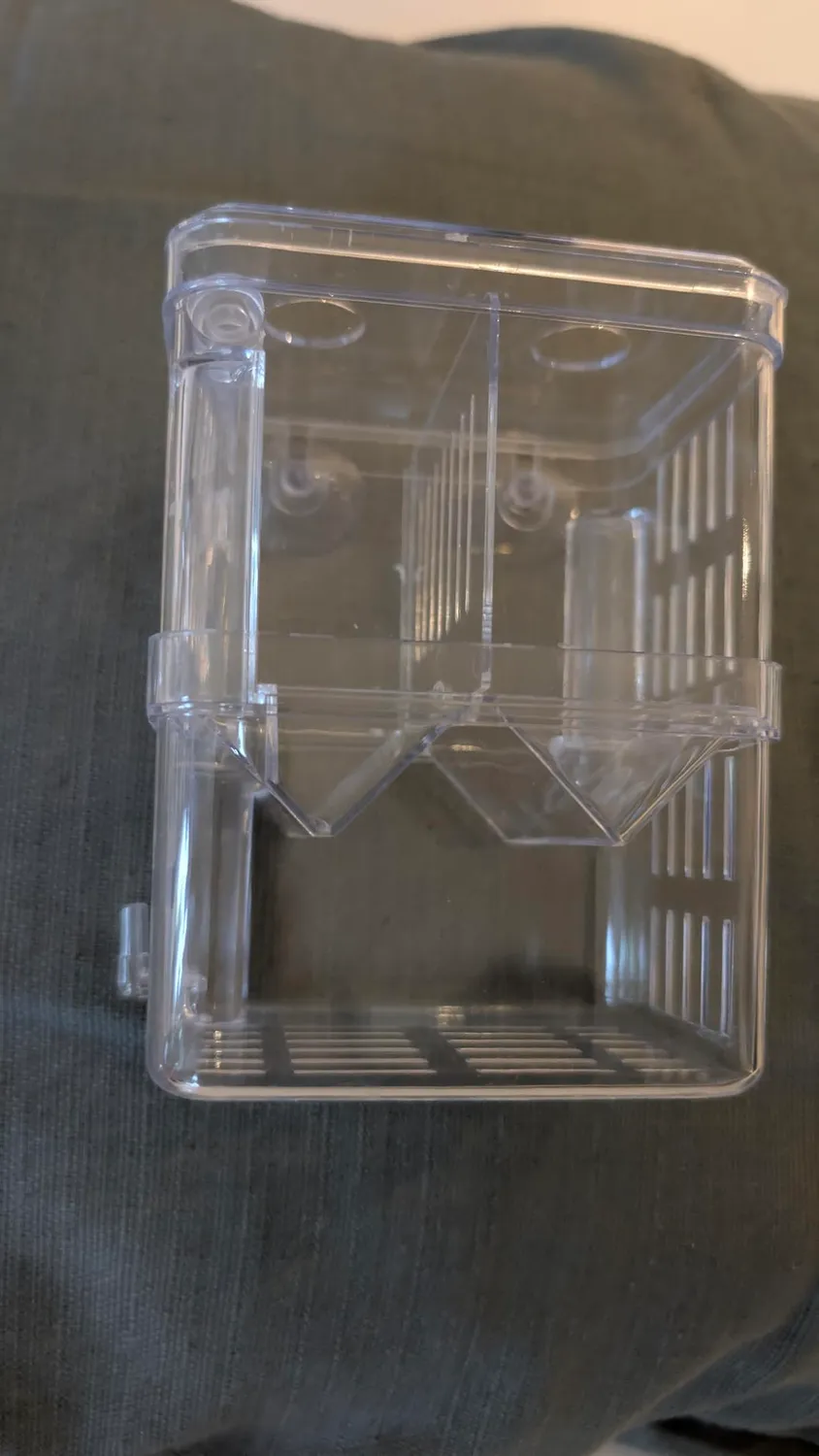 Pawfly Box Allevamento 10x7x13 cm per Avannotti 2 Camere