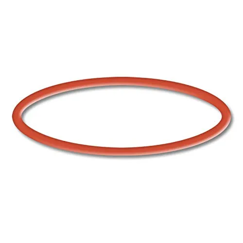 SunSun CPP-5000F O-ring 4 ricambio pompa piscina