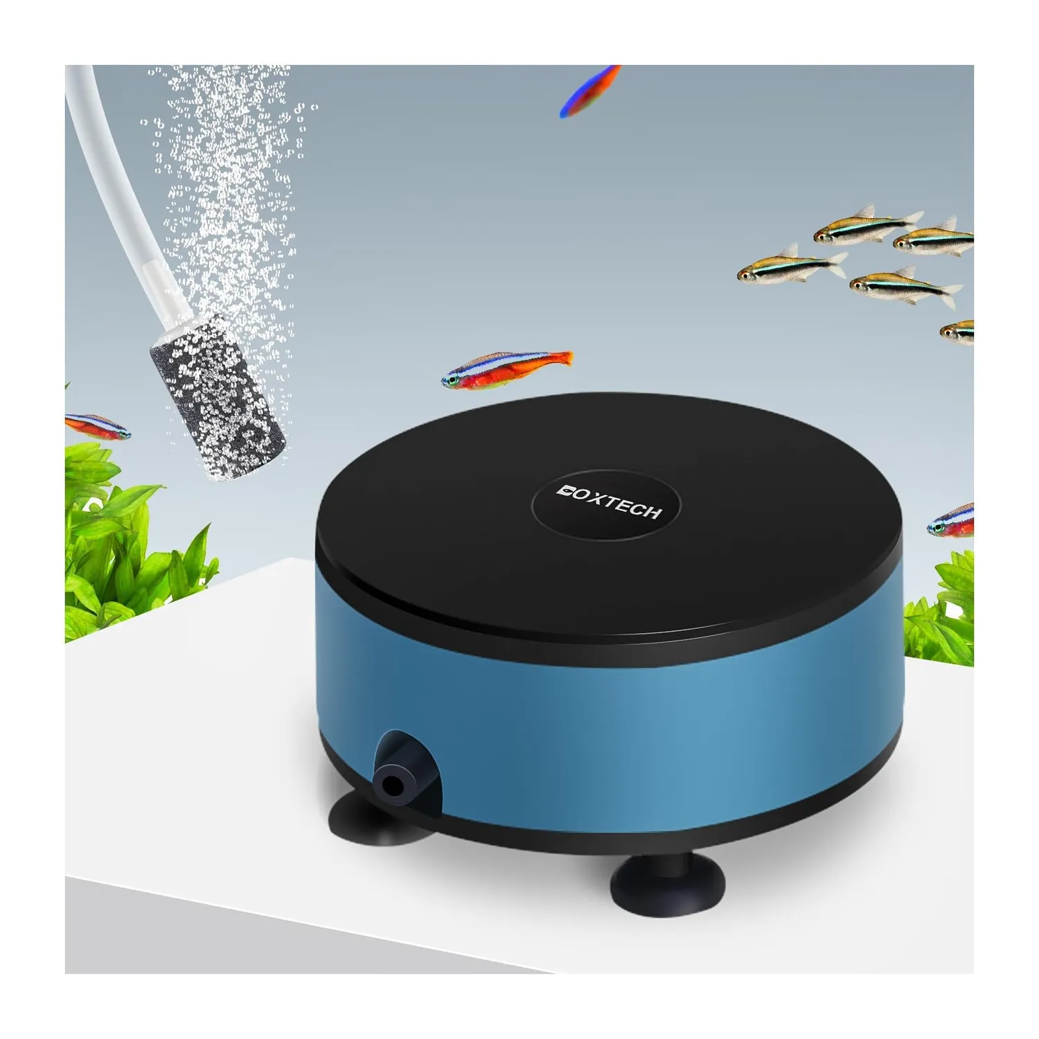 Boxtech pompa aria acquario USB nano 7-30L con pietra