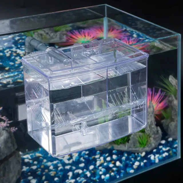 Pawfly incubatrice pesci acrilico 16 cm 3 scomparti