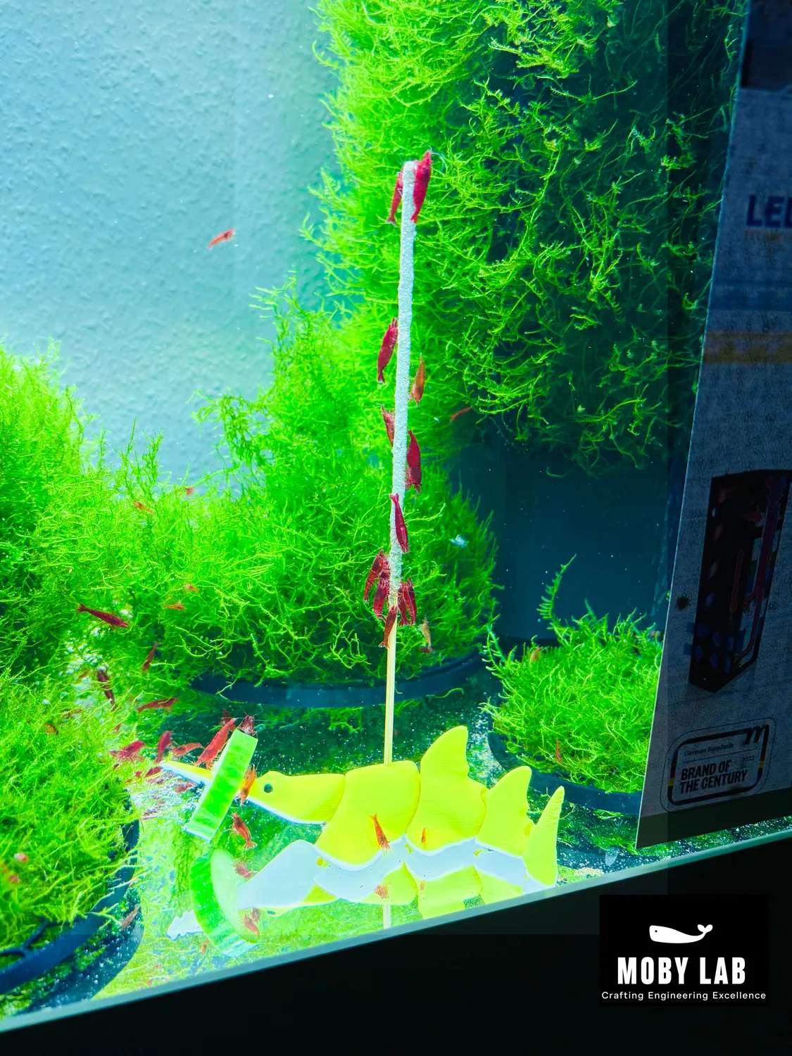 Moby Lab Fish porta cibo pesci e gamberetti PETG