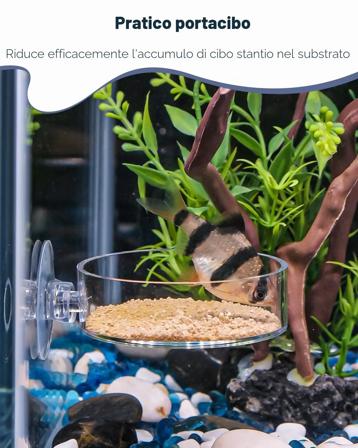 Pawfly mangiatoia gamberetti acquario acrilico 6 cm