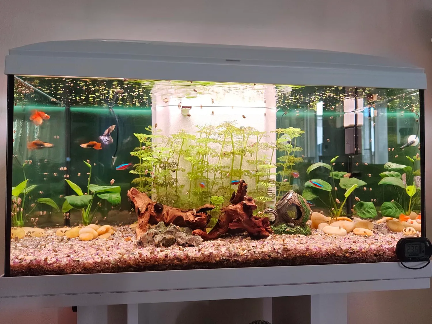 Pawfly Luce LED Acquario 30 cm 24/7 Spettro Completo