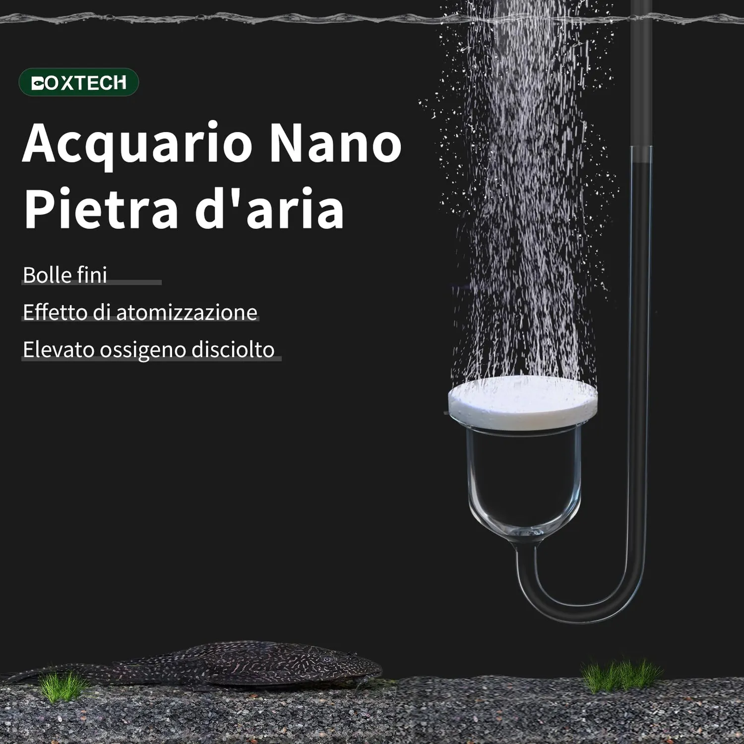boxtech Pietra Aria Acquario Diffusore Nano 25 mm con Valvola