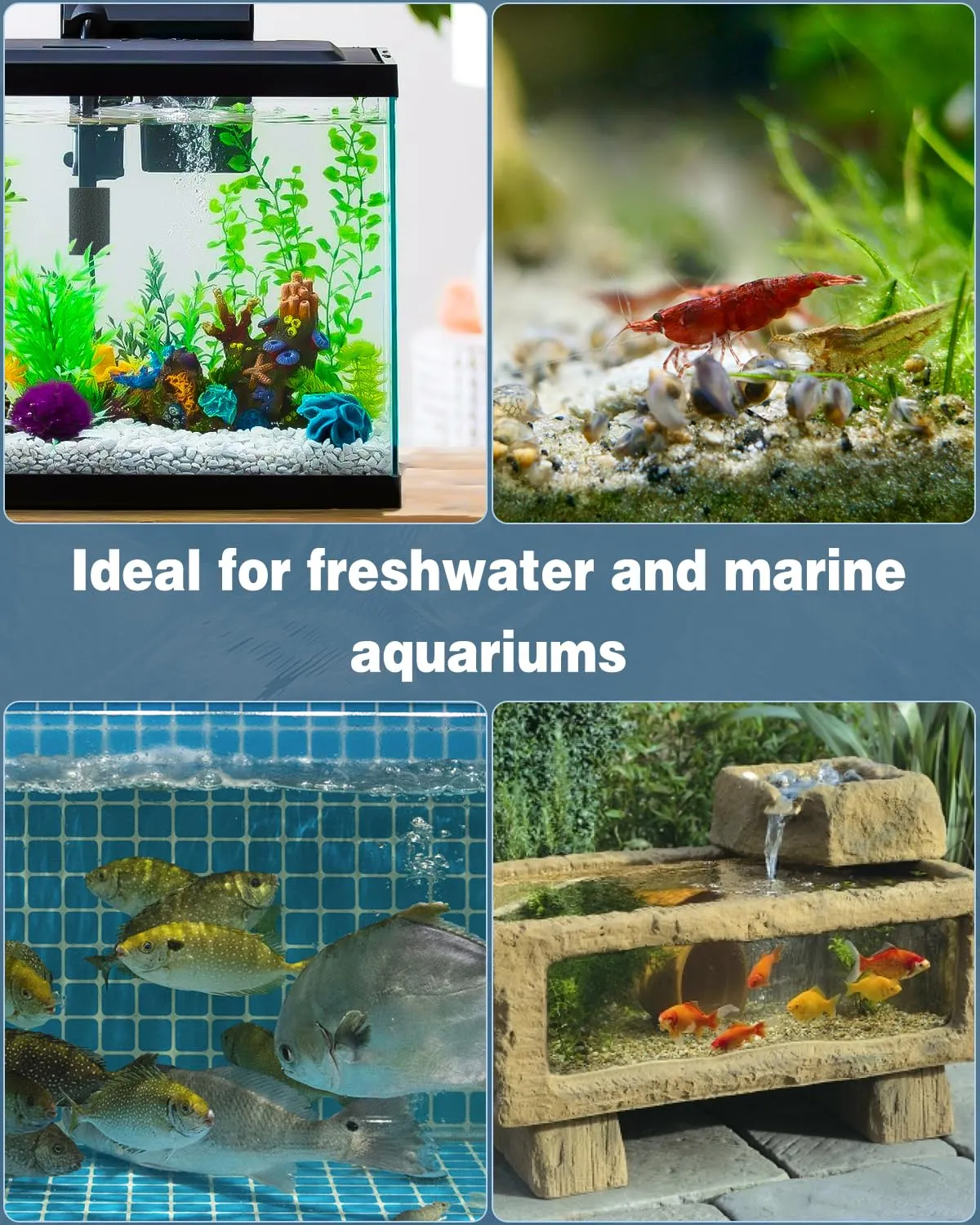 Pawfly spugne pre-filtro acquario 1,5 cm 12 pezzi anti-aspirazione