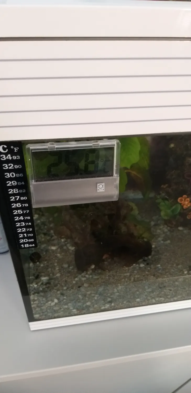 LONDAFISH ventola raffreddamento acquario 2 ventole 12V