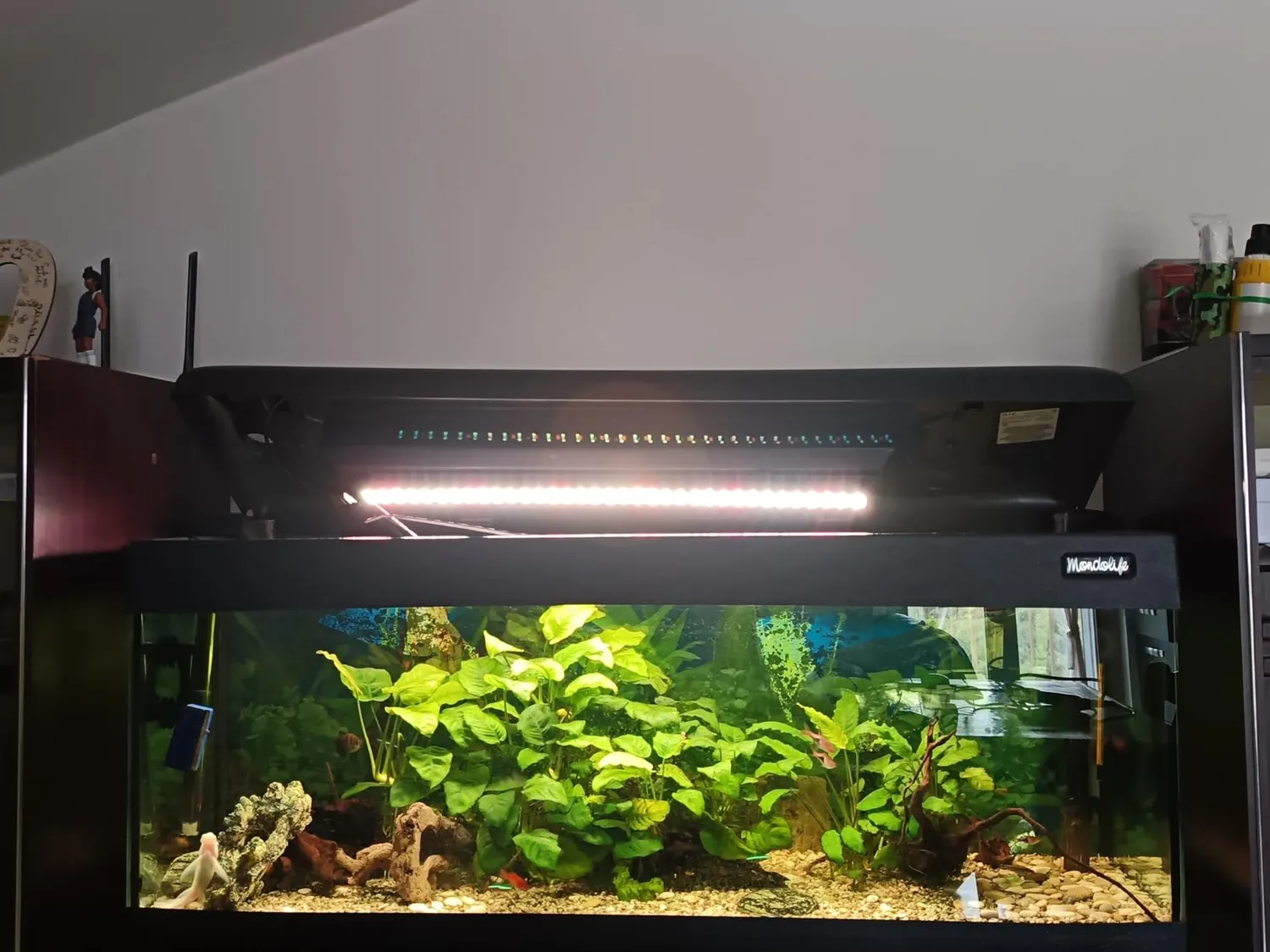 Pawfly Luce LED Acquario 30 cm 24/7 Spettro Completo