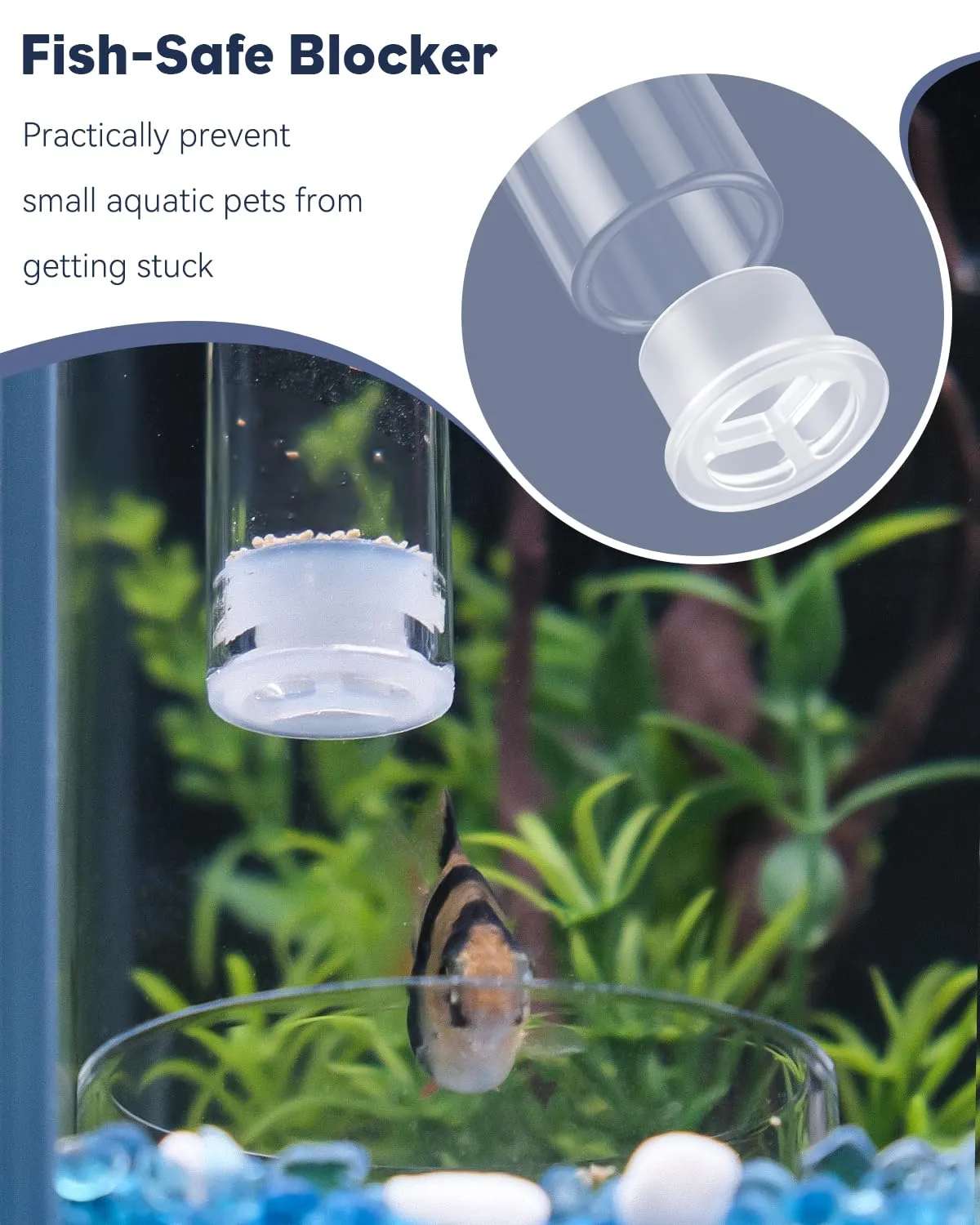 Pawfly tubo alimentazione pesci vetro 20 cm con ciotola