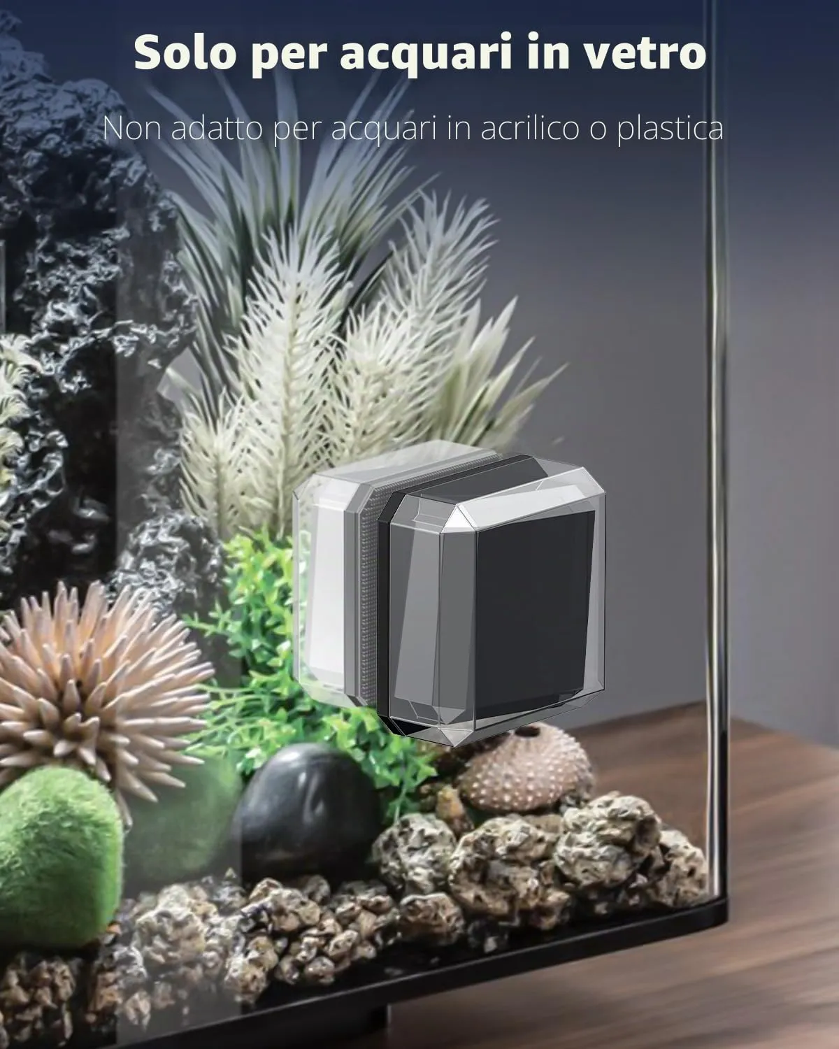 Pawfly Pulitore Magnetico 2,5 cm spazzola vetro 0,5 cm mini