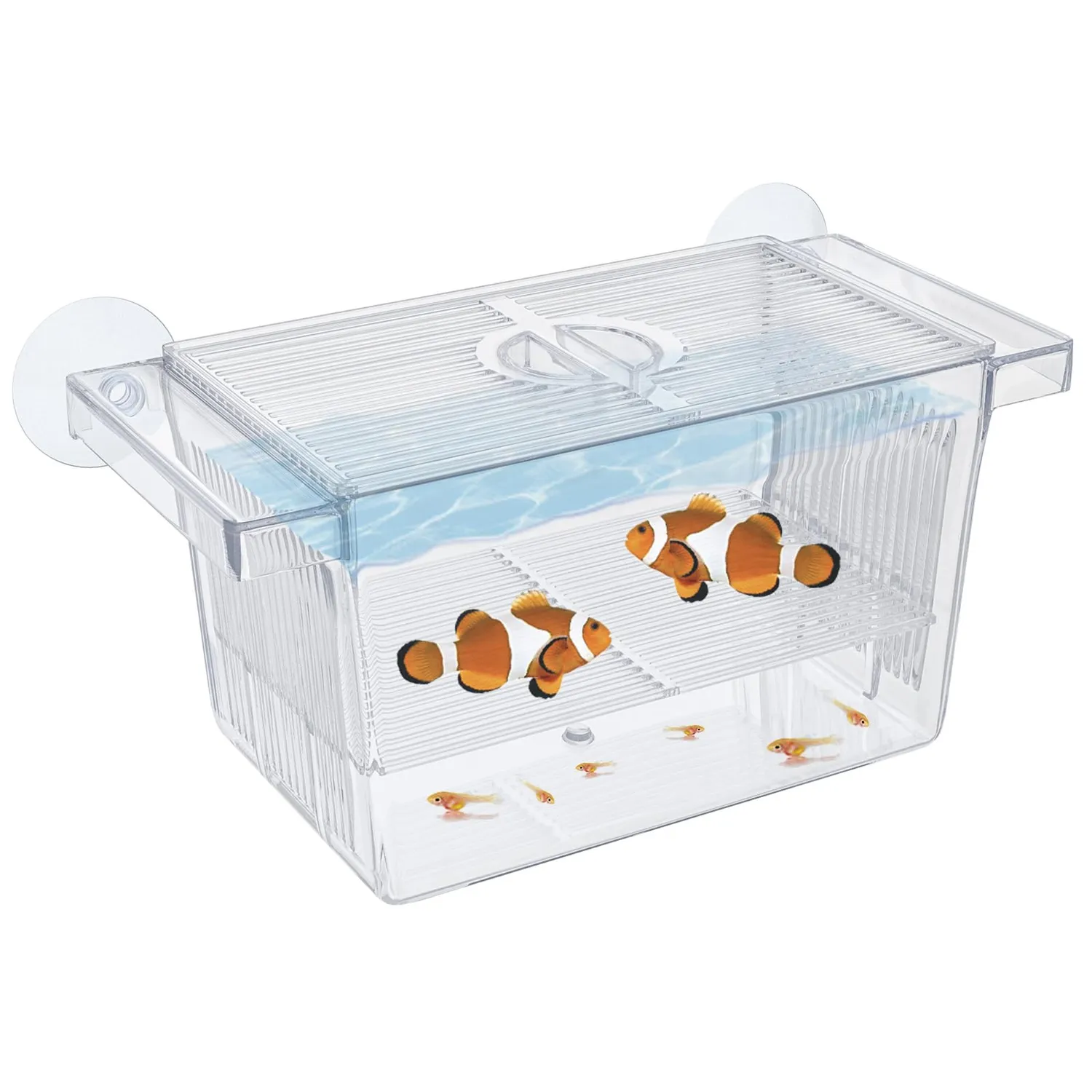 Pawfly Sala Parto Acrilico M 13,5 cm per Avannotti e Guppy