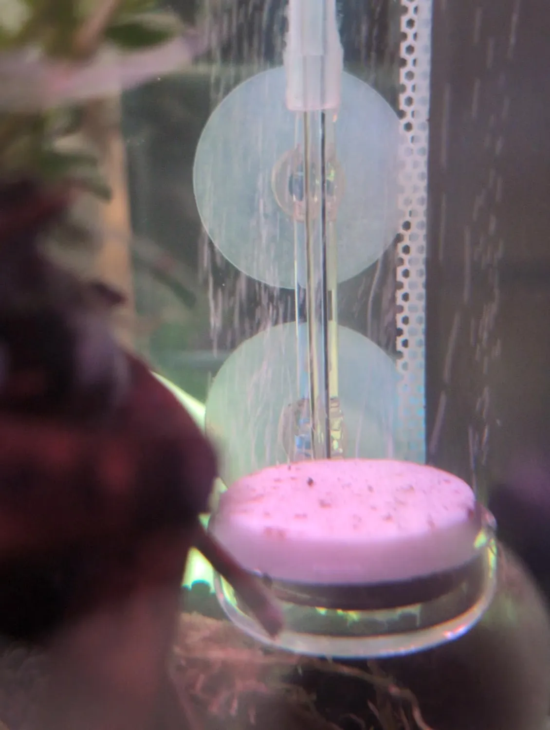 boxtech diffusore aria acquario 35 mm kit silenzioso