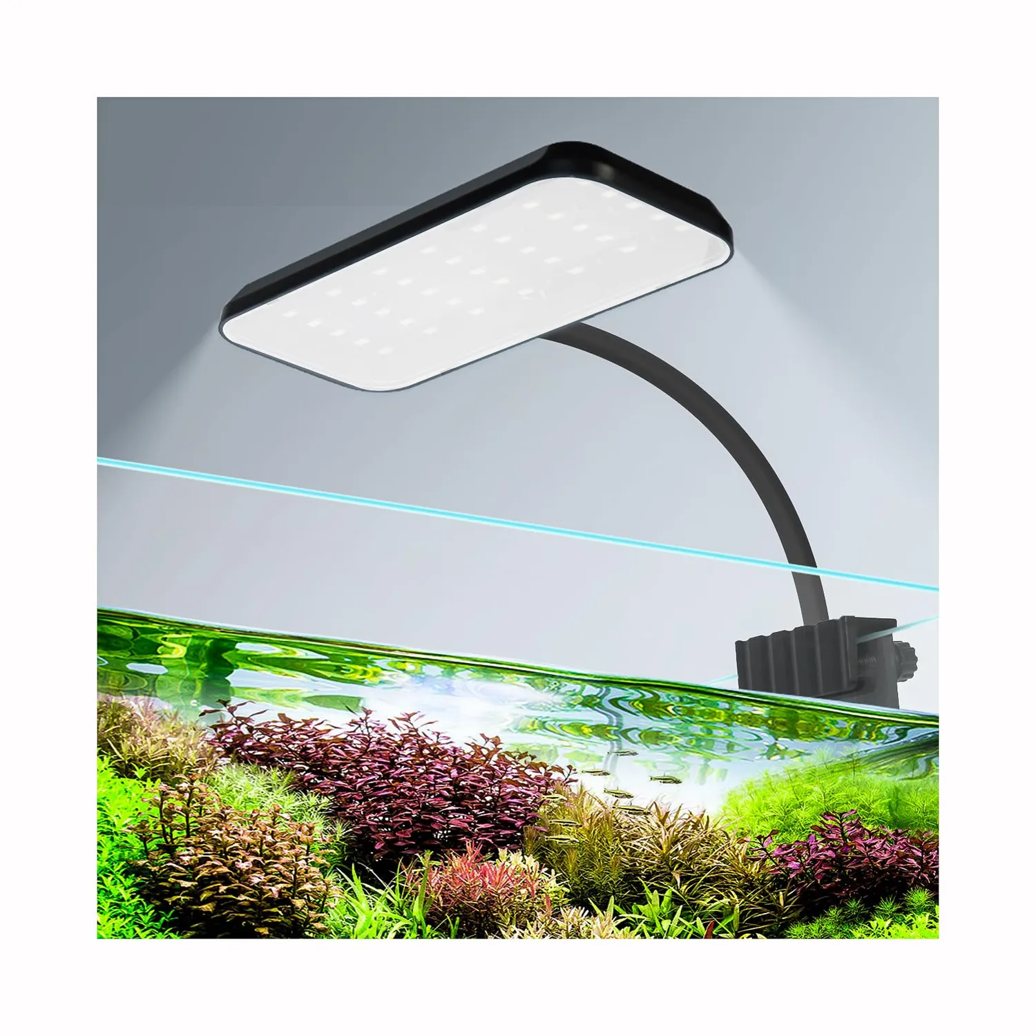 boxtech Lampada LED Acquario 8W Spettro Completo Clip