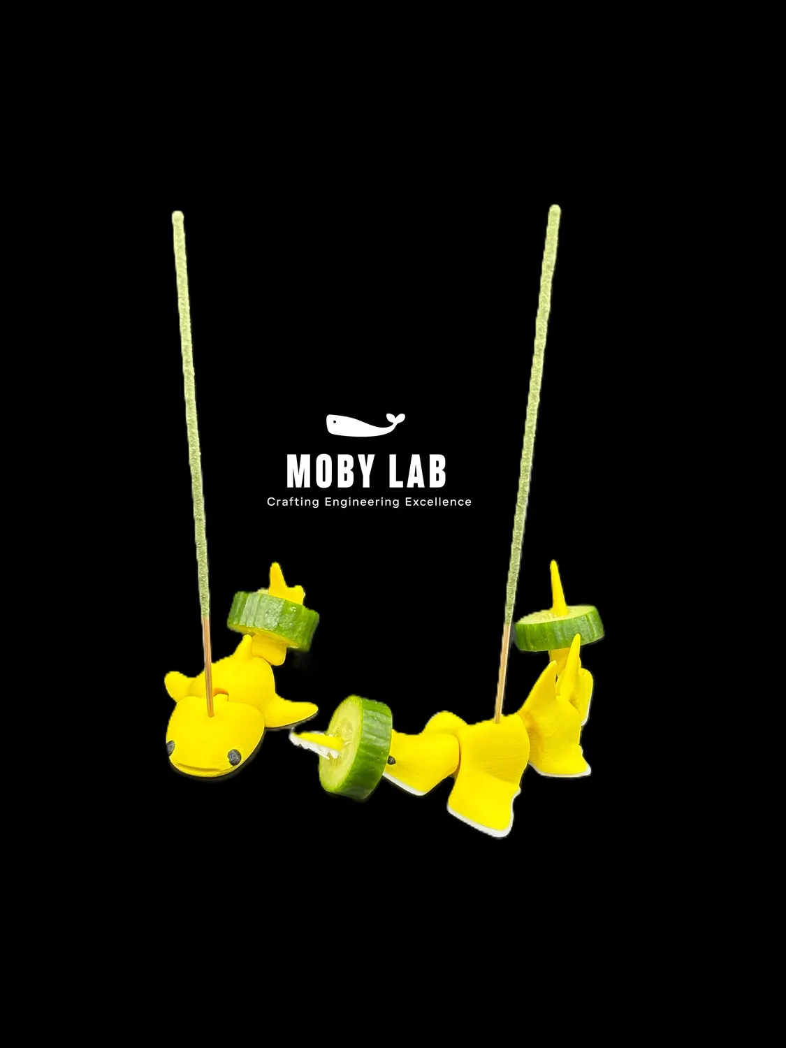 Moby Lab Fish porta cibo pesci e gamberetti PETG